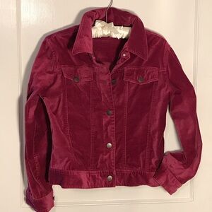 Stylish Magenta Velvet Jacket